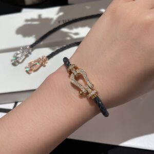 horseshoe buckle braceletForce 10 seriesSpecial personality eyecatching and dazzling